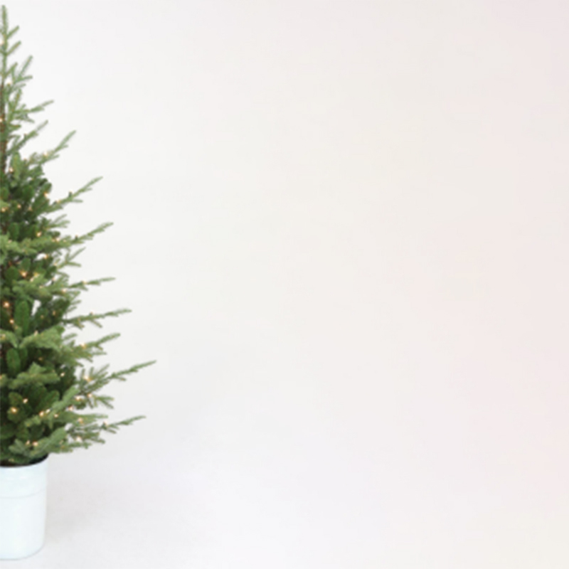 6.5 'Potted tree S14365UL