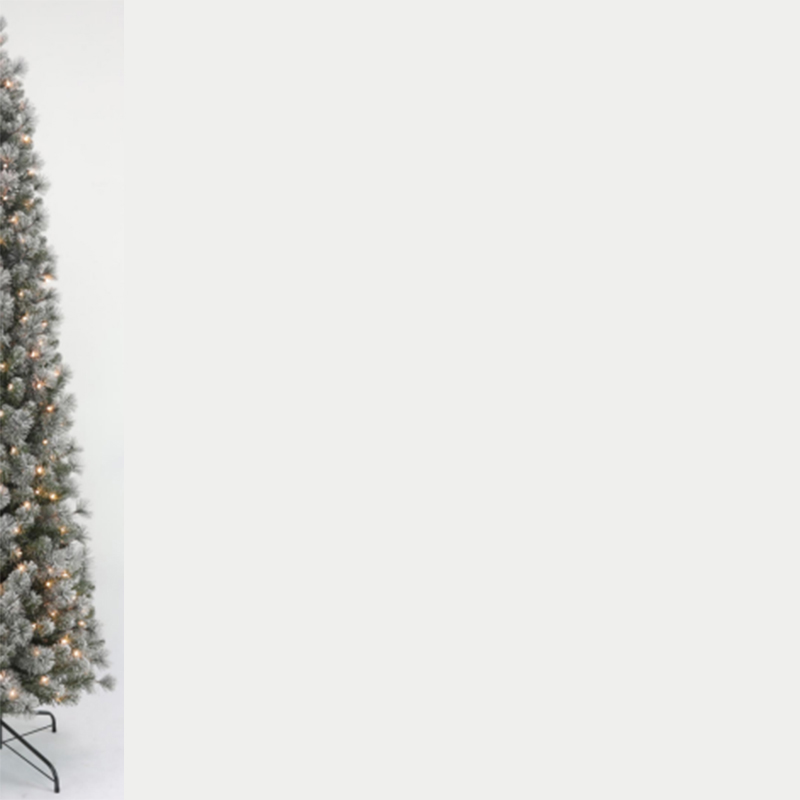 7.5 'Mixed Leaf Pencil Tree C6439T75ZC200