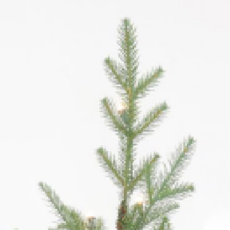 6.5 'Potted tree S14365UL