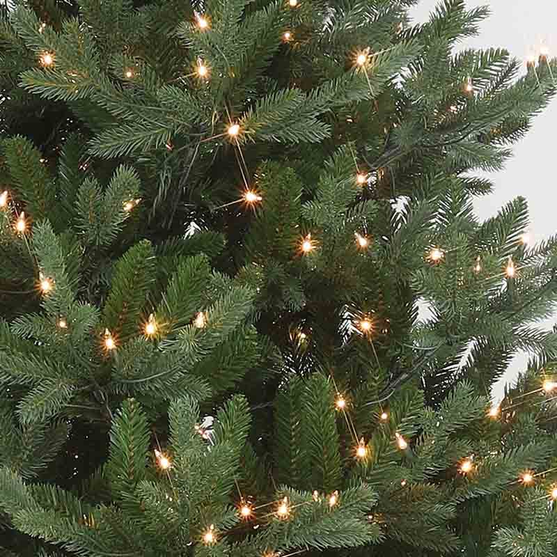 7.5 ft Natural Cutolympia Fir Tree